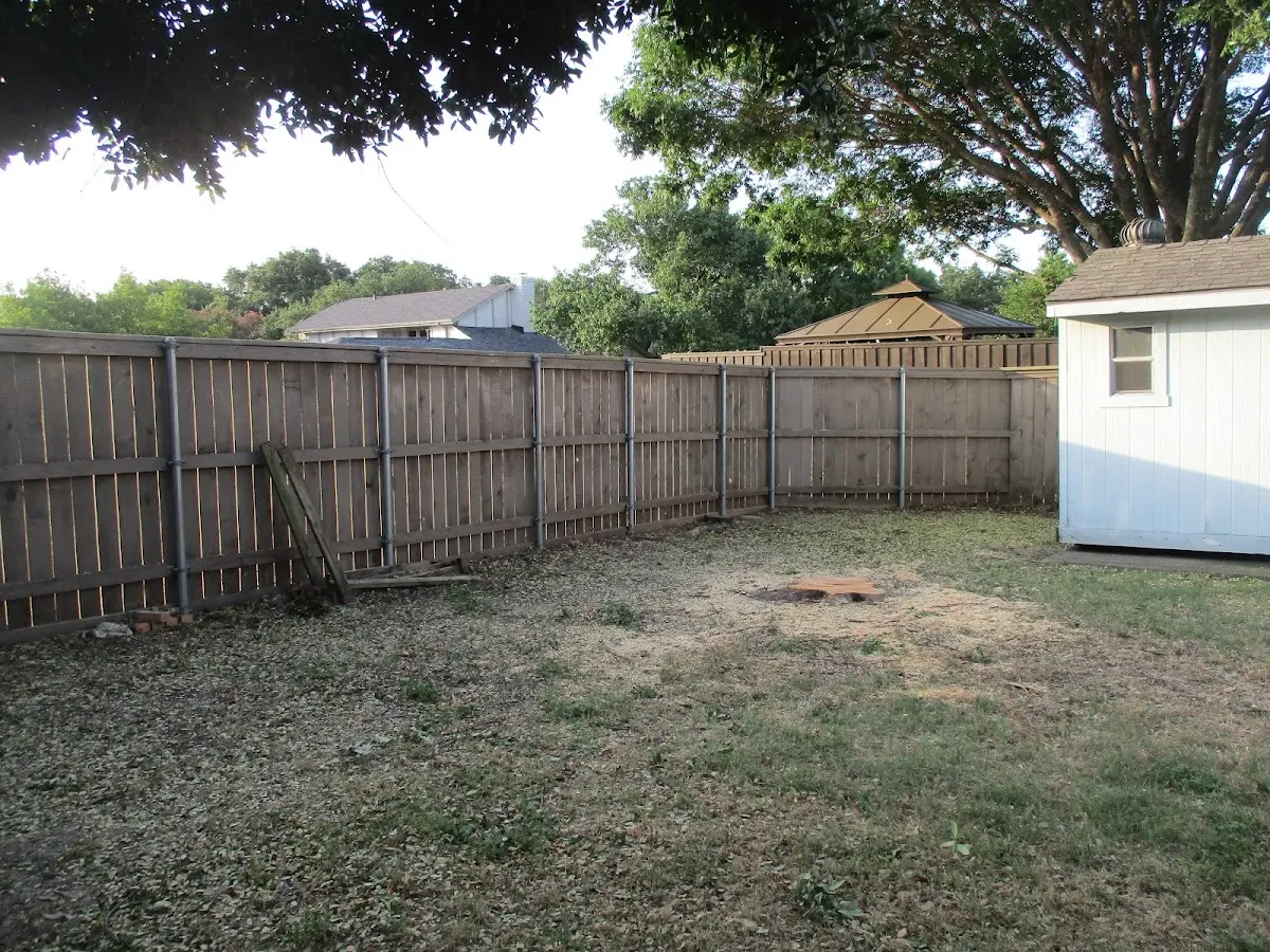 Cleared yard after professional tree removal in Blandon