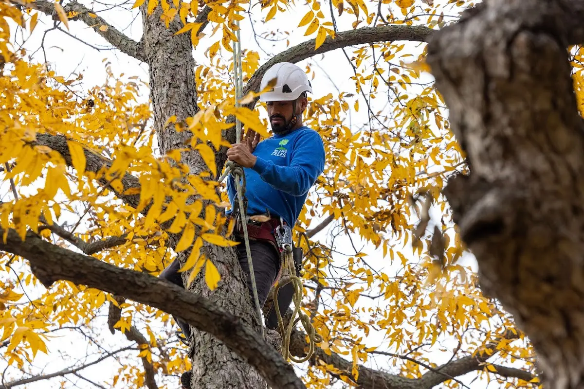 Skilled Storm Damage Cleanup crew working in Blandon
